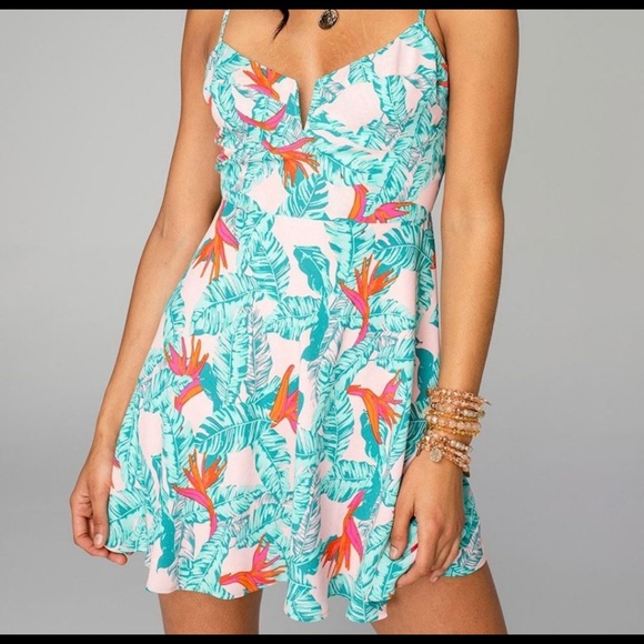 Buddy Love Dresses & Skirts - Buddy Love Cate Sleeveless Skater Dress